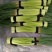 蒜苔精品蒜苔基地直供量大从优价格随行