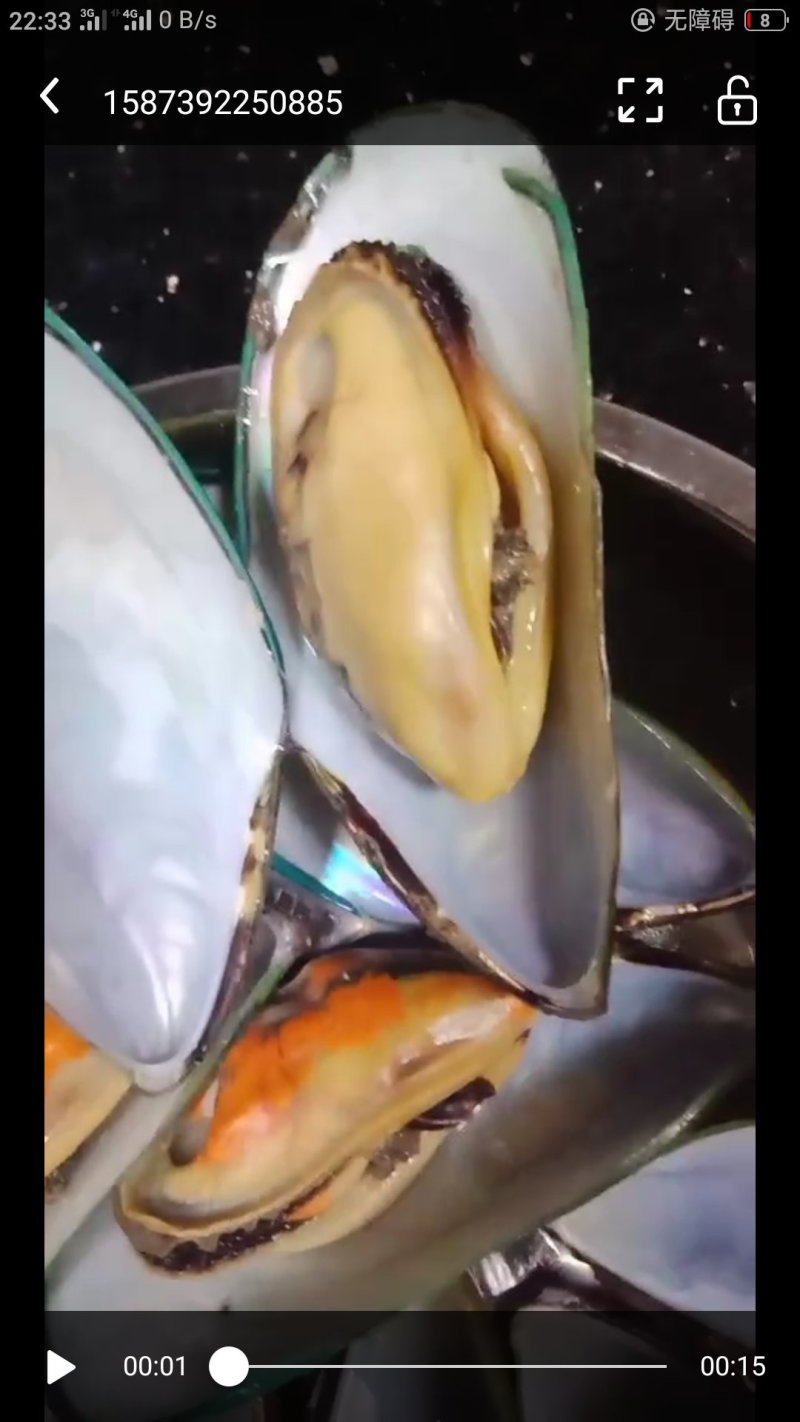 青口贝