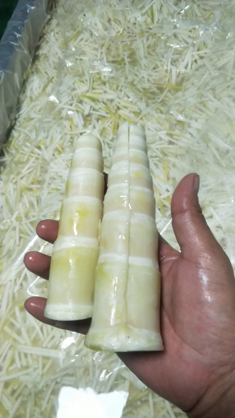 英德市西牛镇清水笋，盐笋片，笋丝基地直发