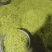 黄金芽，峨眉山白茶，支持全囯一件代发