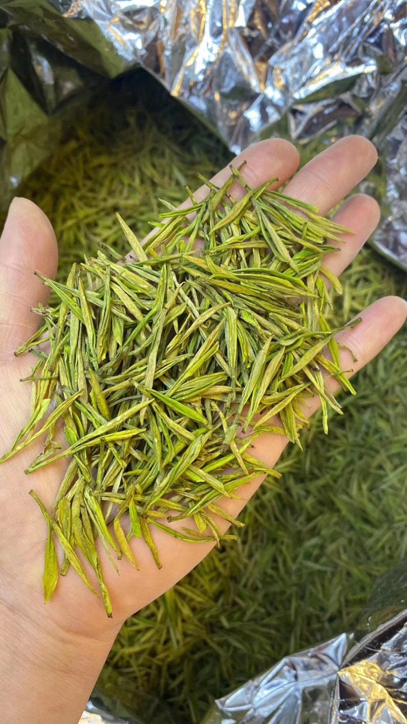 黄金芽，峨眉山白茶，支持全囯一件代发