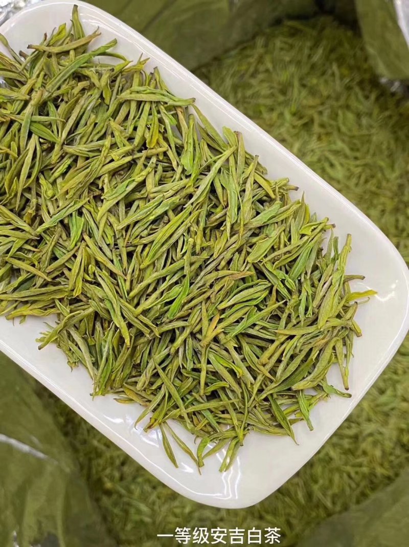 黄金芽，峨眉山白茶，支持全囯一件代发