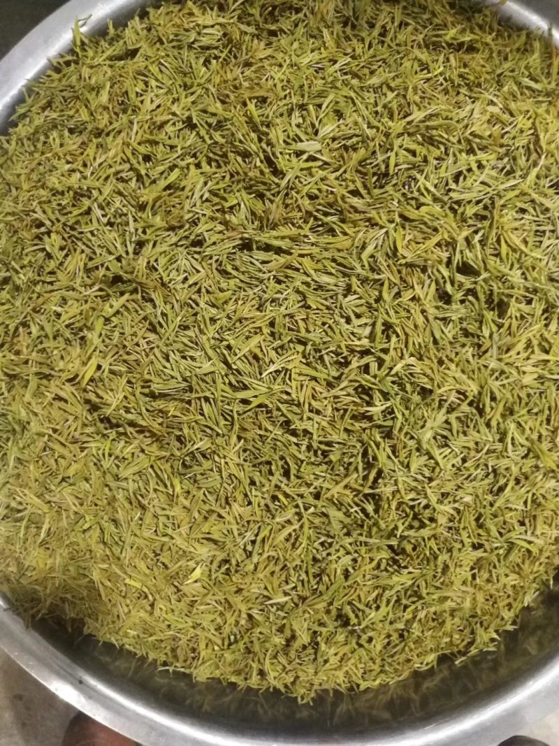 黄金芽，峨眉山白茶，支持全囯一件代发