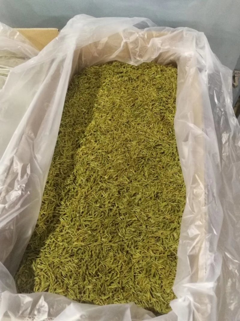 黄金芽，峨眉山白茶，支持全囯一件代发