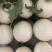 玉菇甜瓜冰清玉菇产地直供一手货源，大量现货