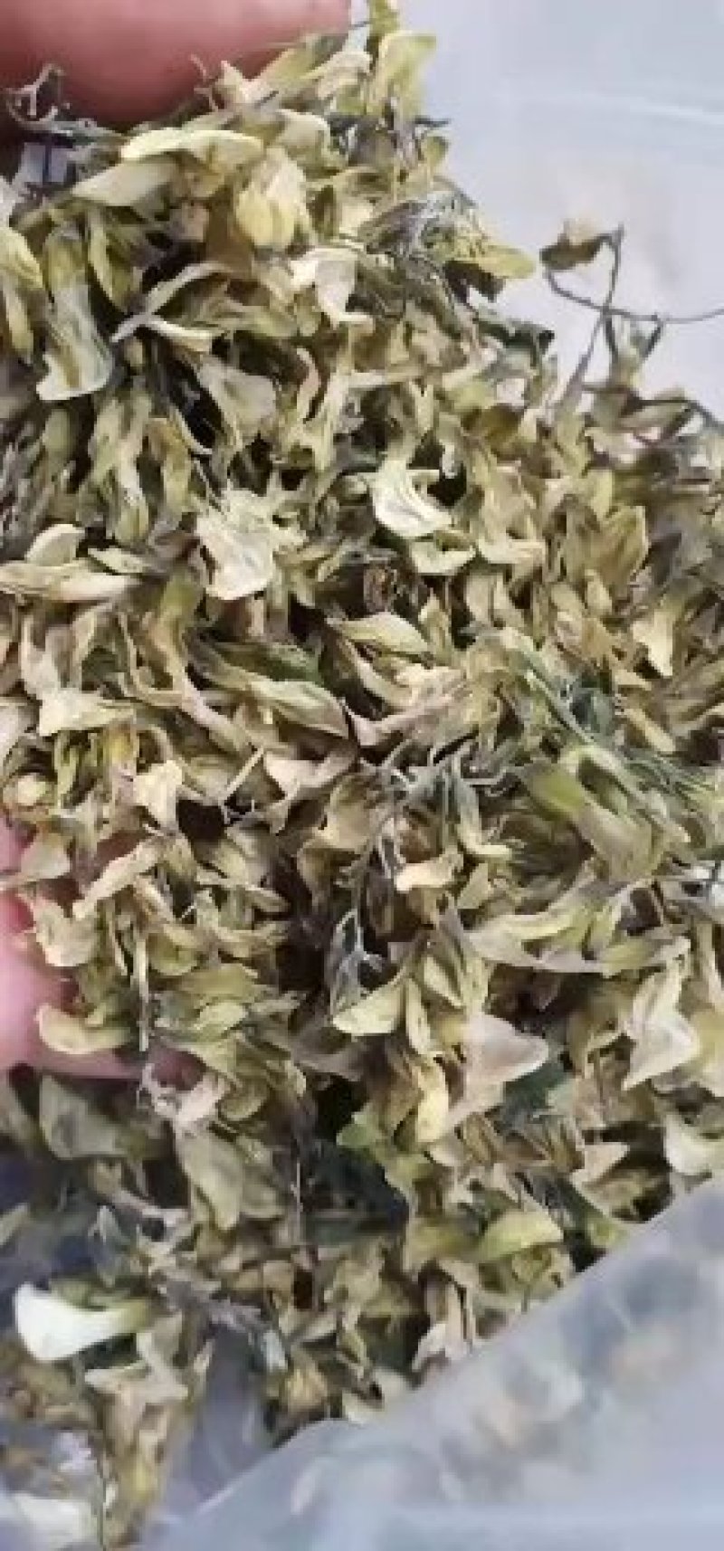 20年新产美味疏槐花干1.5斤袋装包邮满十斤20元/斤包