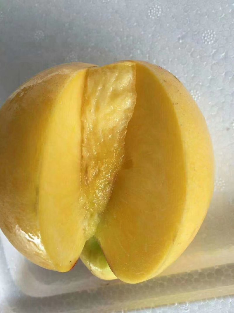陆地黄油桃，黄金蜜，金秀蜜，油蟠桃品种齐全质量好品种齐全