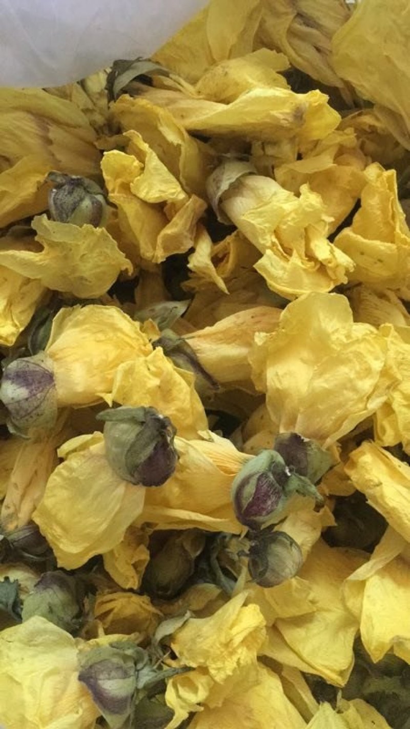 黄蜀葵花大货长年供应杨庆磊