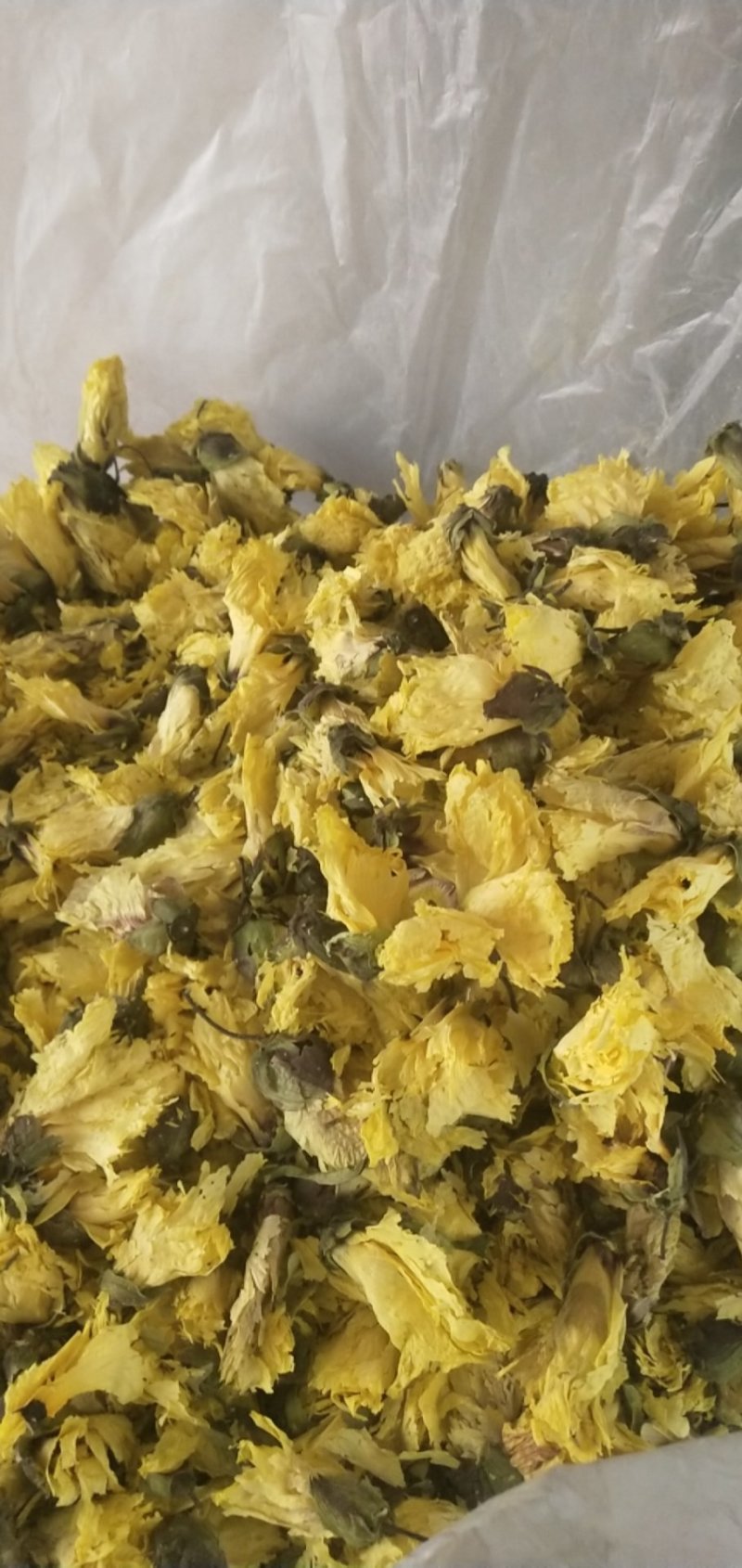 黄蜀葵花大货长年供应杨庆磊