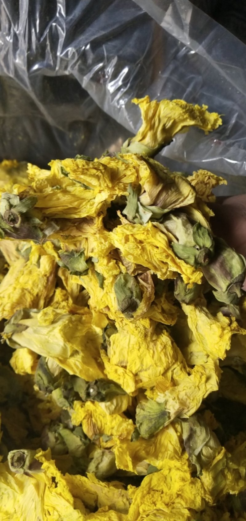 黄蜀葵花大货长年供应杨庆磊