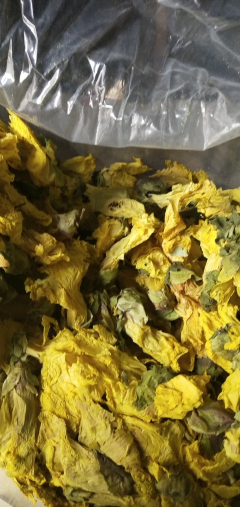 黄蜀葵花大货长年供应杨庆磊