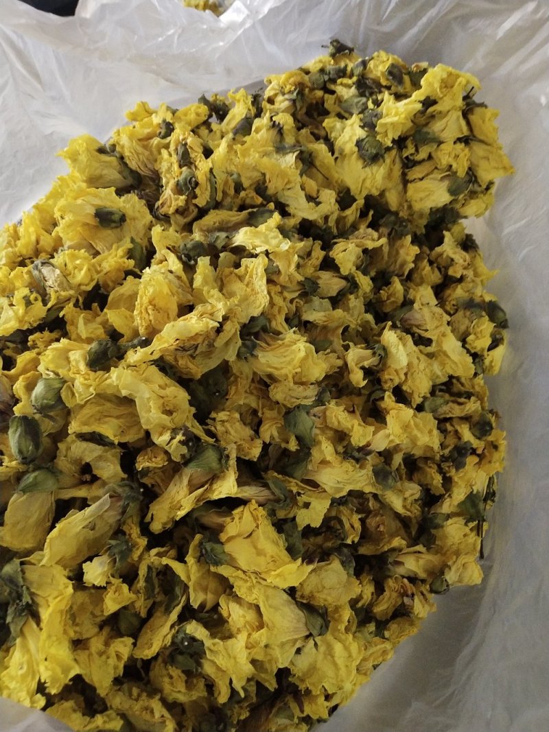黄蜀葵花大货长年供应杨庆磊