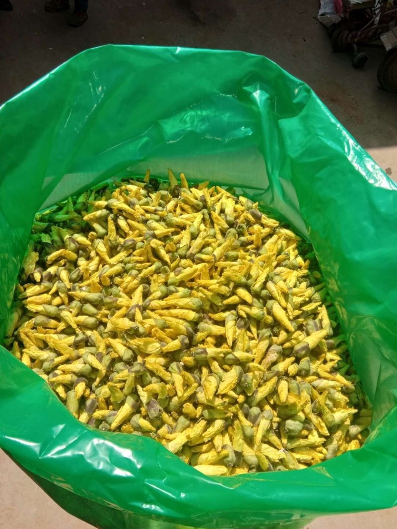 黄蜀葵花