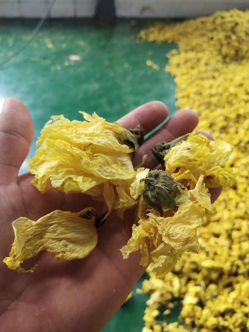 黄蜀葵花