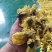 黄蜀葵花