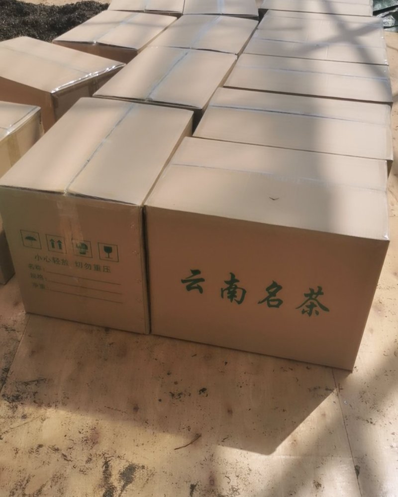 普洱茶