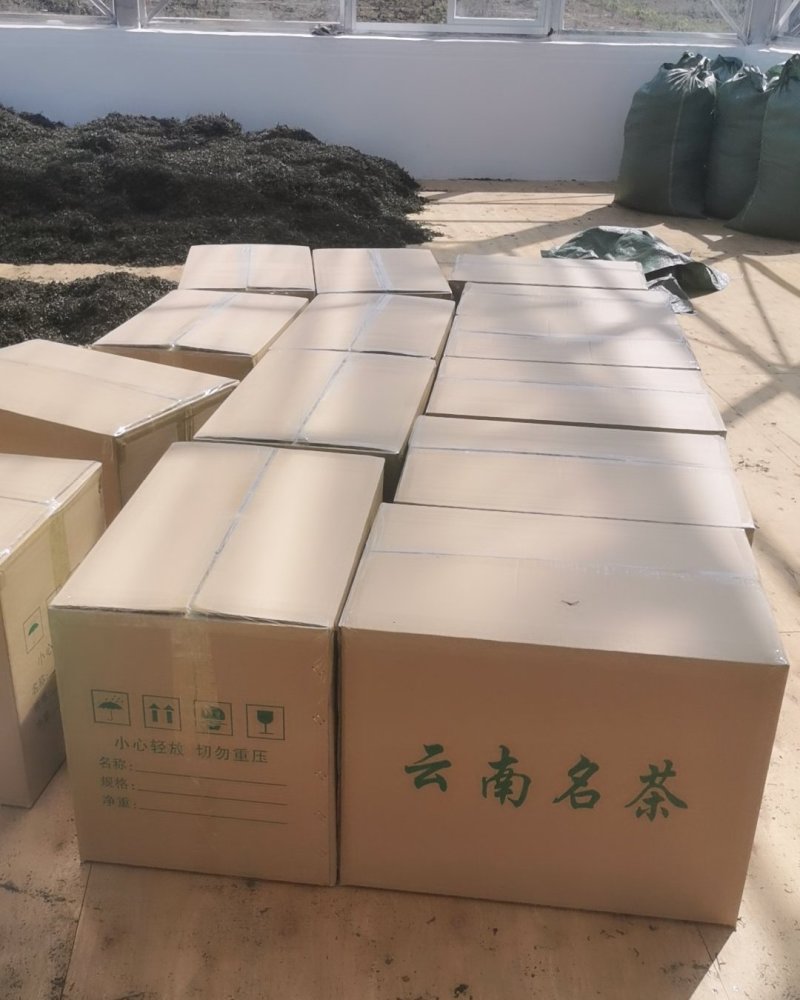 普洱茶