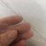 大棚防虫网养殖围网果树蔬菜防虫网