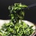 菜苔干