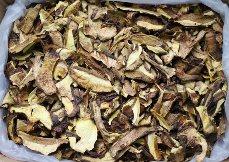 特级水白葱牛肝菌干净香味浓野生货批发一件代发