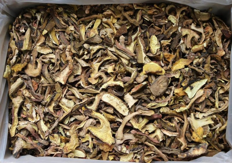精选红葱牛肝菌香嫩无比高品质支持批发一件代发