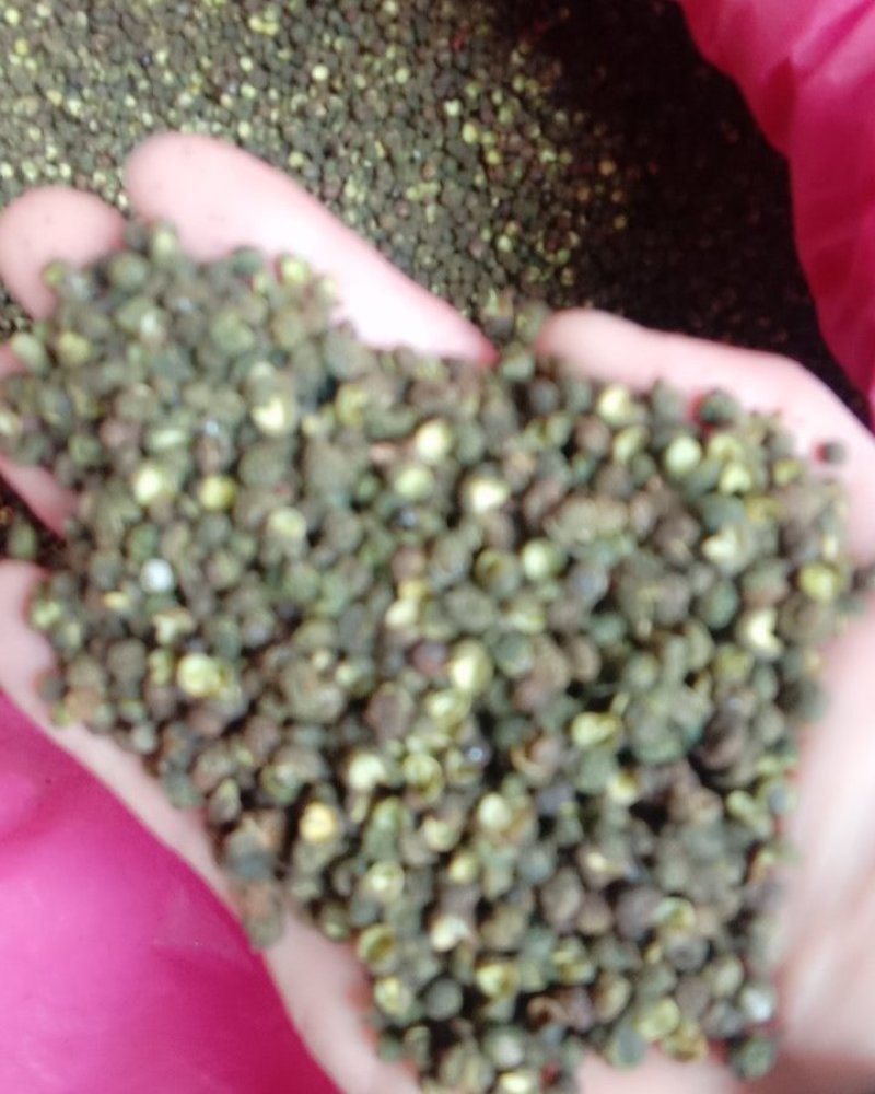 花椒，清花椒各种规格常年批发代购花椒
