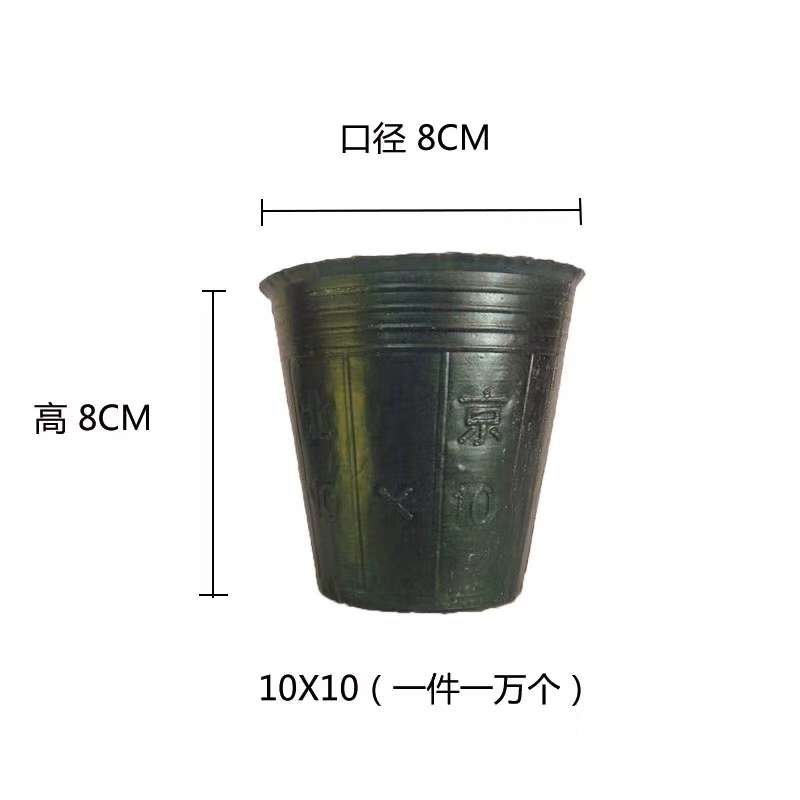 育苗盘苗盘各种规格适用于果蔬花木经久耐用不变形