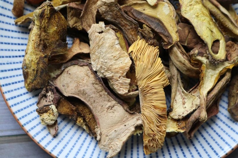 精选红葱牛肝菌香嫩无比高品质支持批发一件代发