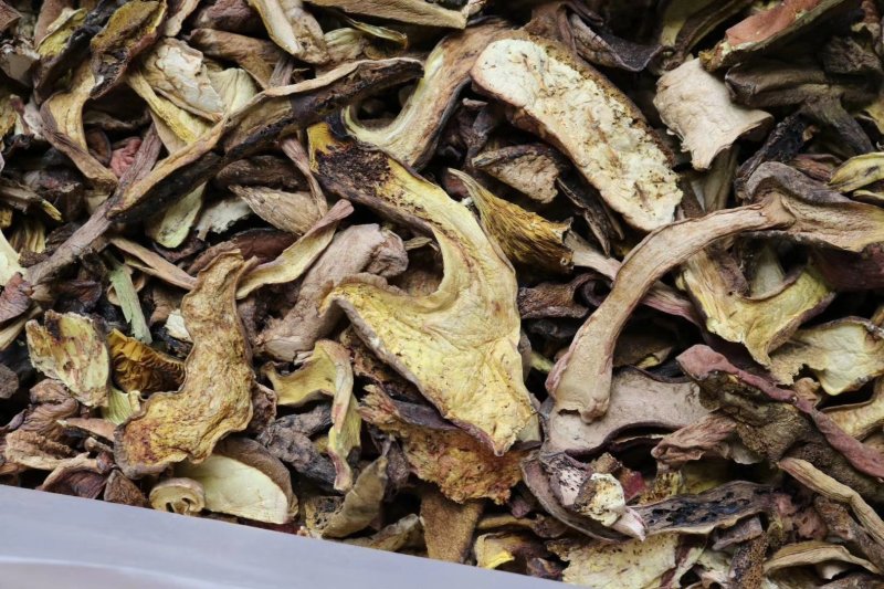 精选红葱牛肝菌香嫩无比高品质支持批发一件代发