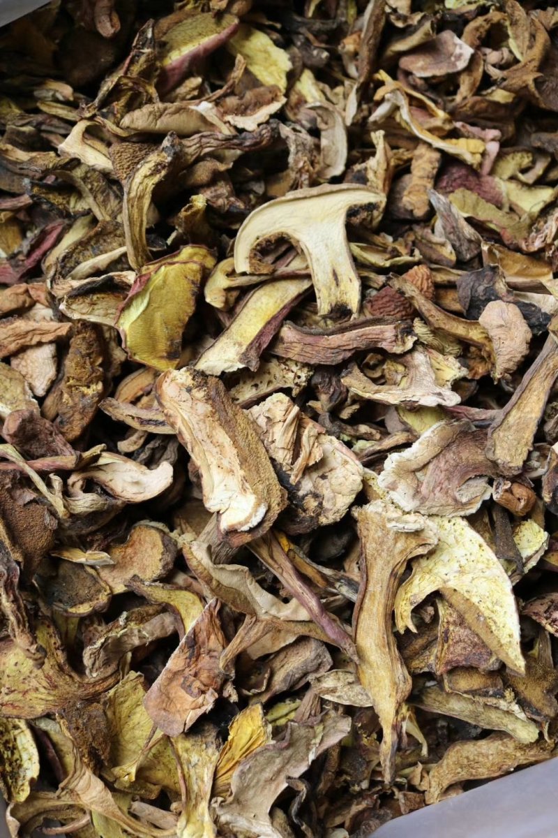 精选红葱牛肝菌香嫩无比高品质支持批发一件代发