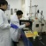 厂家直销九九乐国标鸡精100g*80袋全国招商