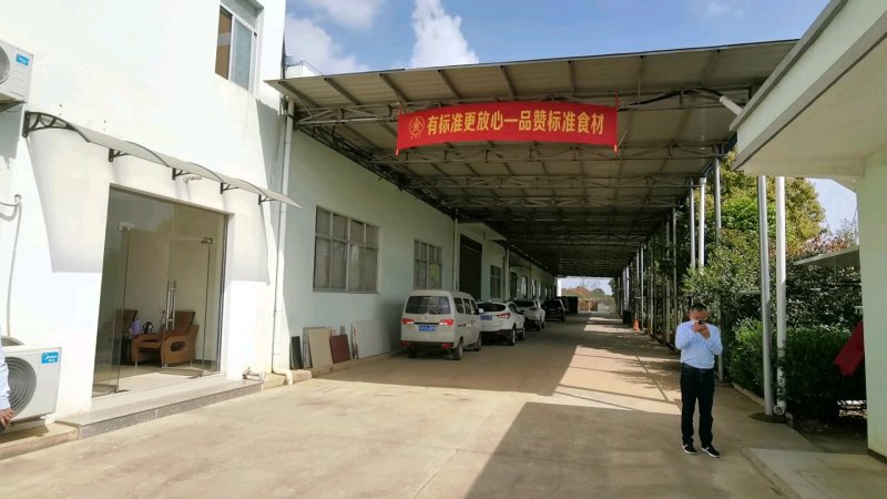 厂家直销九九乐国标鸡精100g*80袋全国招商