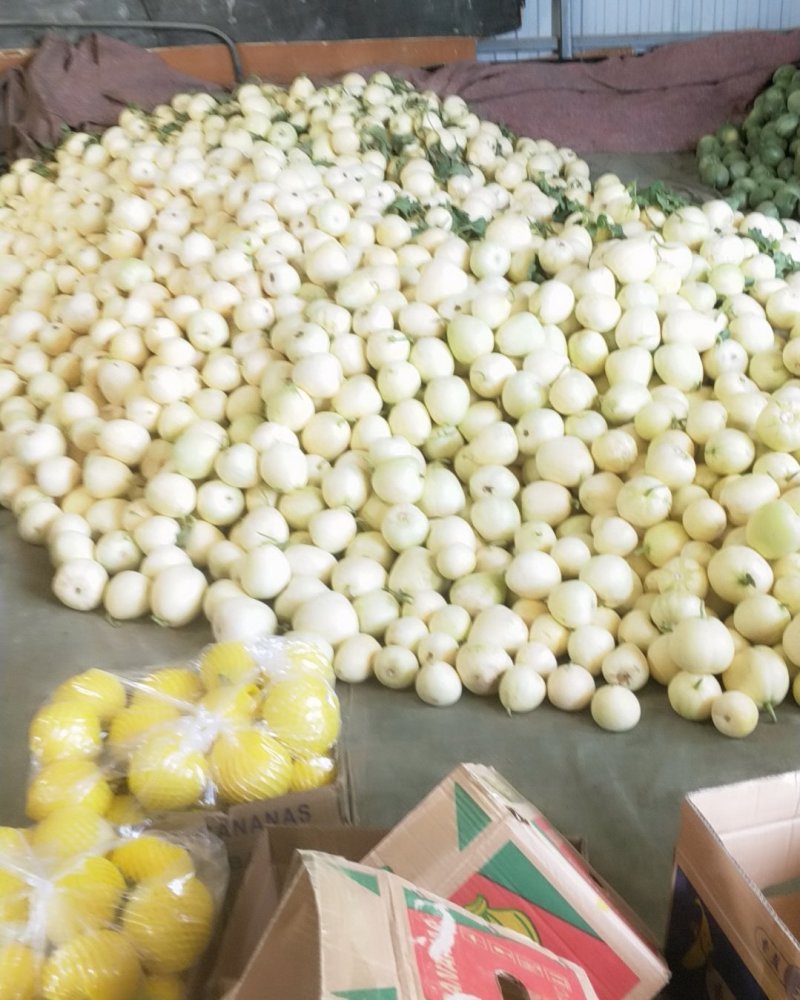 星甜二十大量上市口感脆甜产地直发