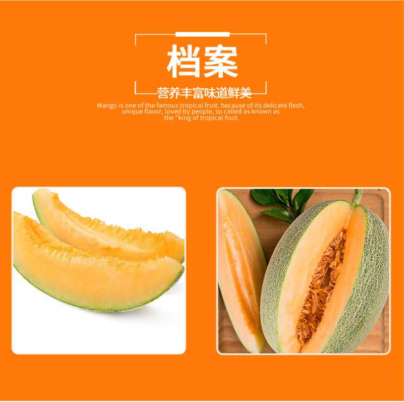 江博尔新疆特产供应链