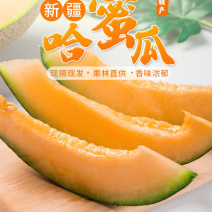 江博尔新疆特产供应链
