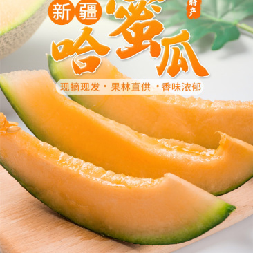 江博尔新疆特产供应链