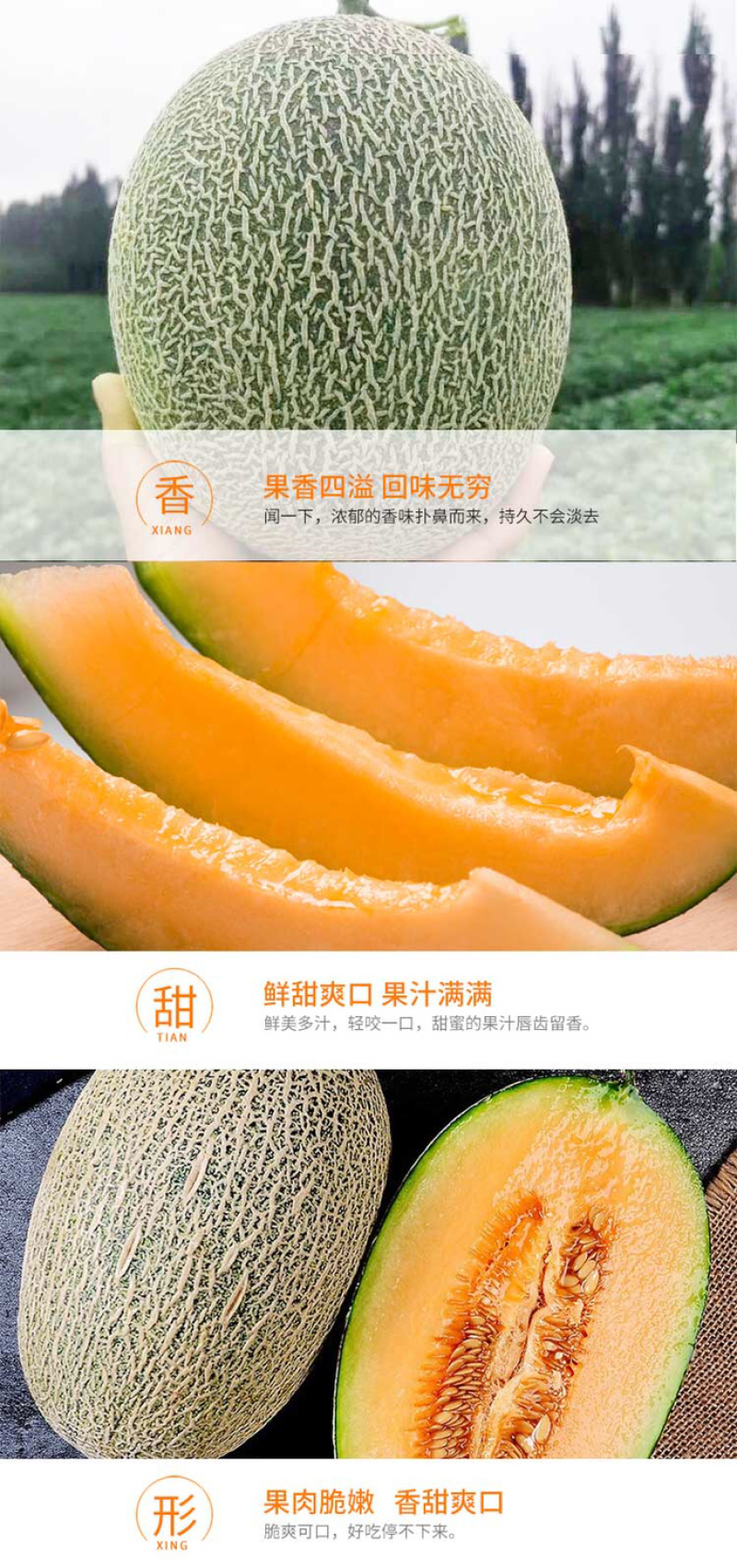 江博尔新疆特产供应链