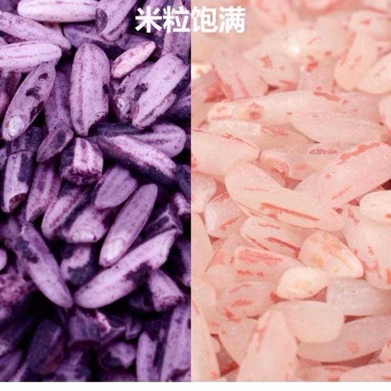 墨江新紫米红米云南特产大米糯米五谷杂粮粥血糯米饭团面包正