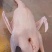 肉鹅广东正宗黑棕鹅光鹅棚鹅草鹅冰冻鹅