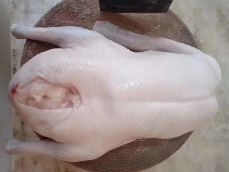 肉鹅广东清远黑棕鹅新鲜鹅冰鲜鹅冰冻鹅