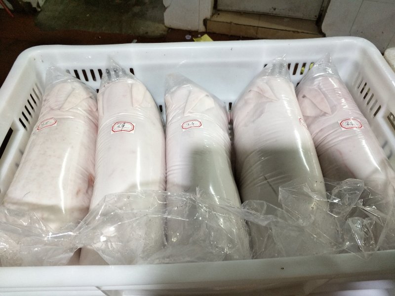 猪乳猪乳猪适合各大酒店烧腊店烤乳猪专用