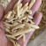【麦冬】麦冬各种规格产地直供量大从优物美价廉