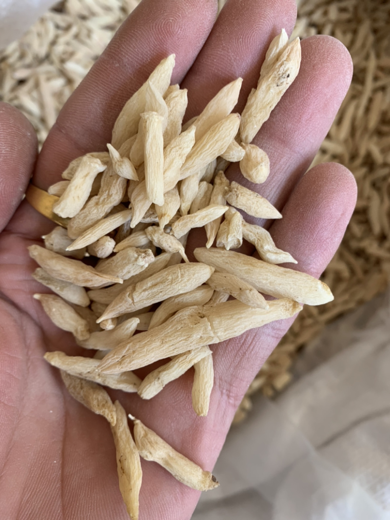 【麦冬】麦冬各种规格产地直供量大从优物美价廉