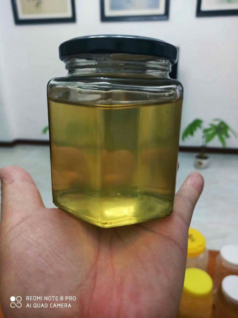 桂花蜜～.大优惠优质桂花蜜1瓶50元起包邮