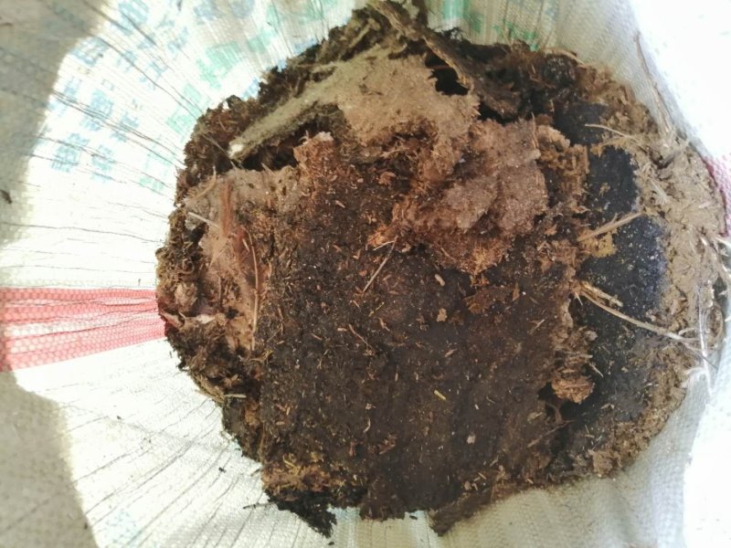 出售新新刚出炉鸡粪，鸡厂直销，农家肥，适合各种种植