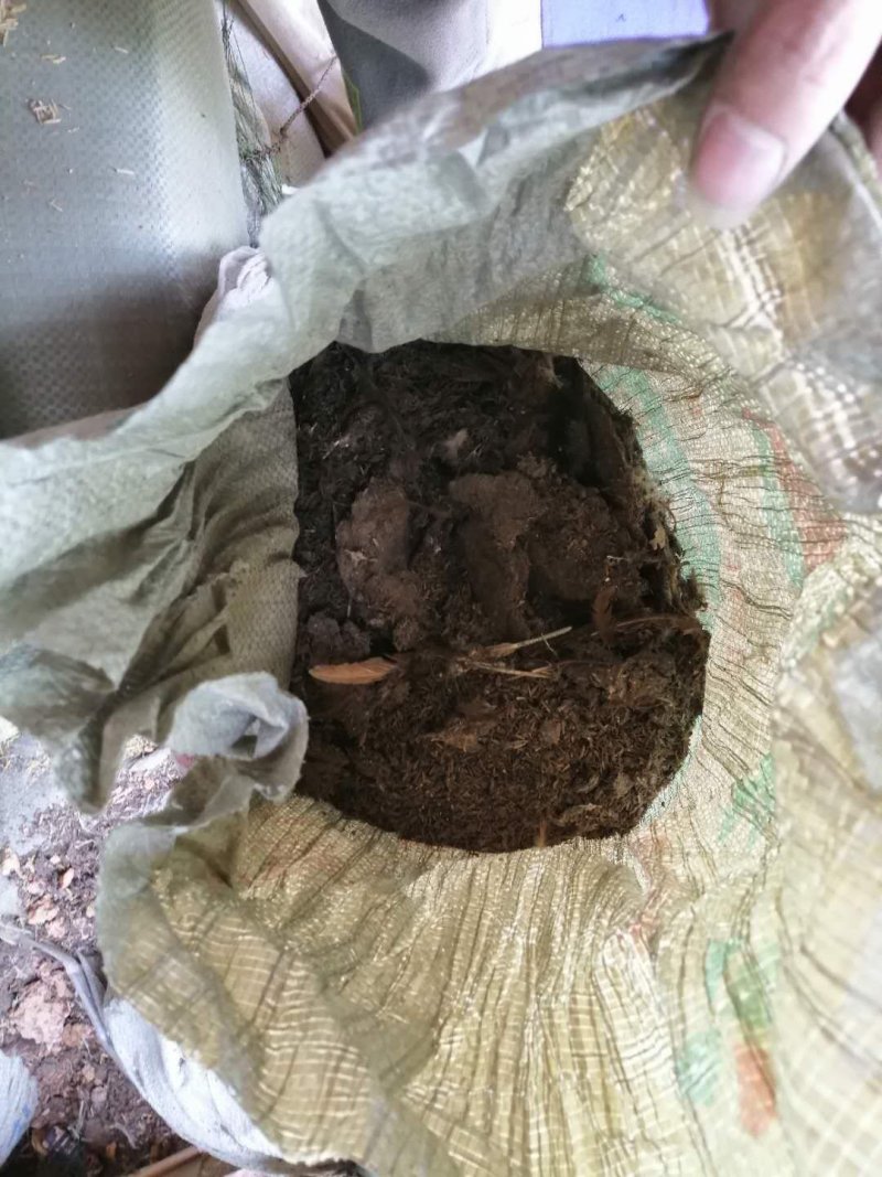 出售新新刚出炉鸡粪，鸡厂直销，农家肥，适合各种种植