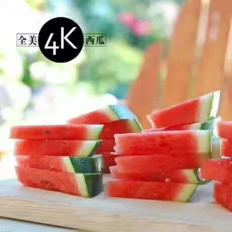 山东昌乐全美4k西瓜