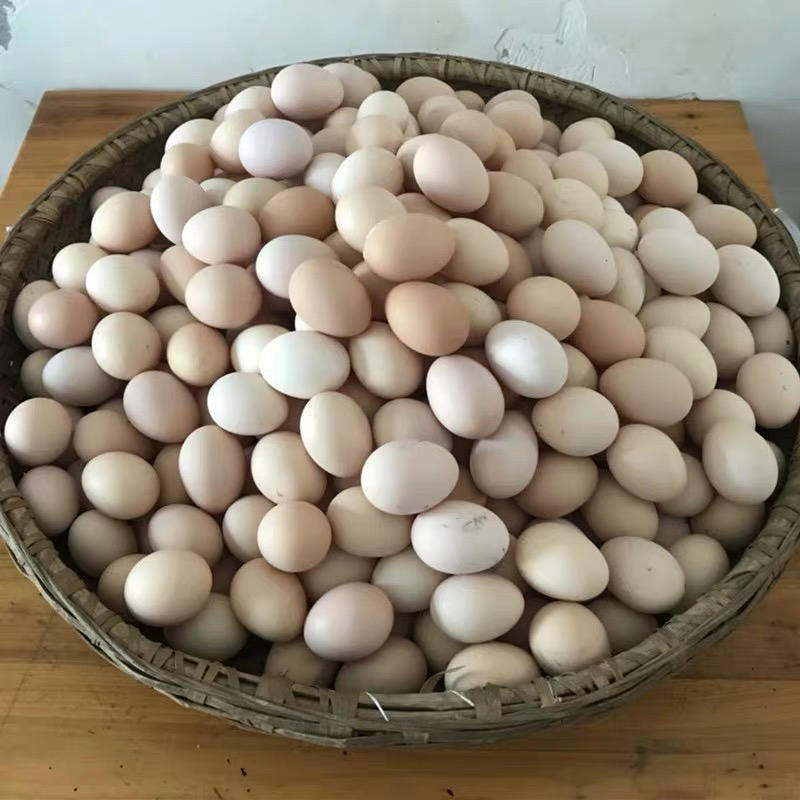 鸡蛋土鸡蛋鲜鸡蛋新鲜土鸡蛋