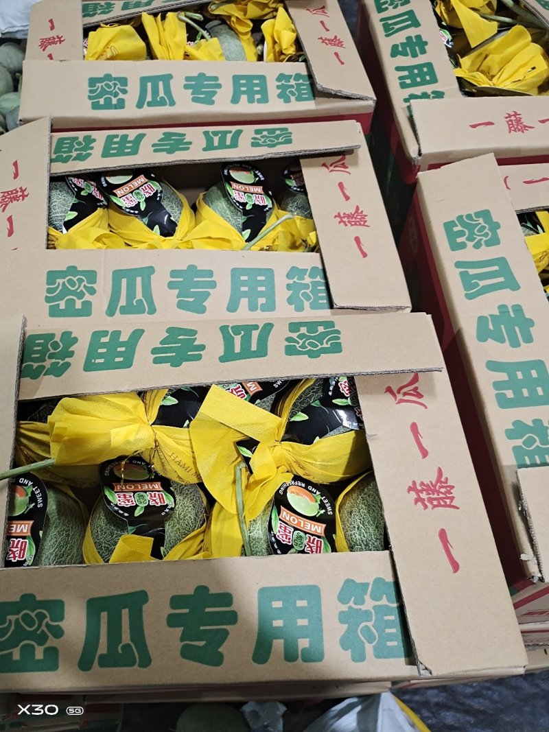 海南哈密瓜小密25、承接全国、电商、超市、市场供货、