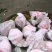 蒲江丑柑商品果双层袋